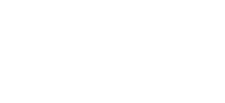 Auto Nation