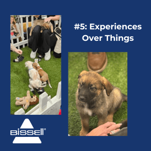 Promotional Product Trends pet products 