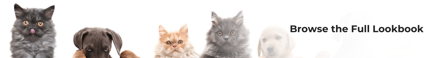 Pet Product Lookbook