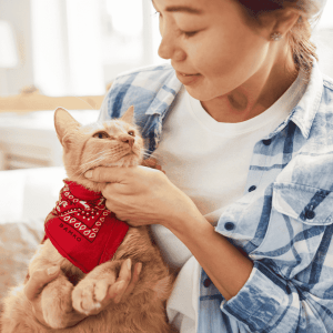 Pet Product - cat bandana 