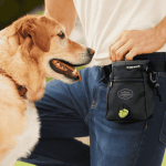 Pet Product - treat holder
