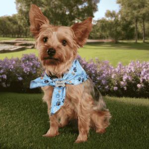 Pet Product - custom bandana
