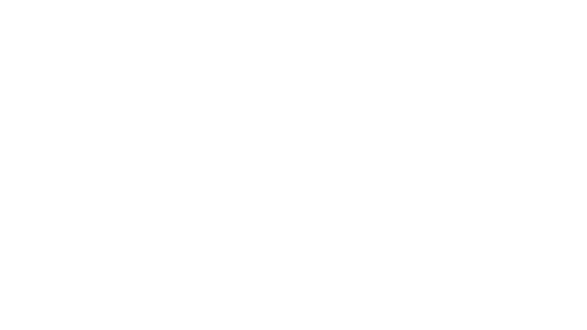 Burger King Custom Toys