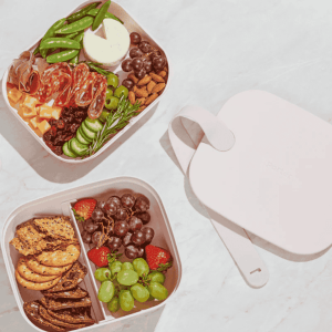 Intern Gifts W&P Bento Box