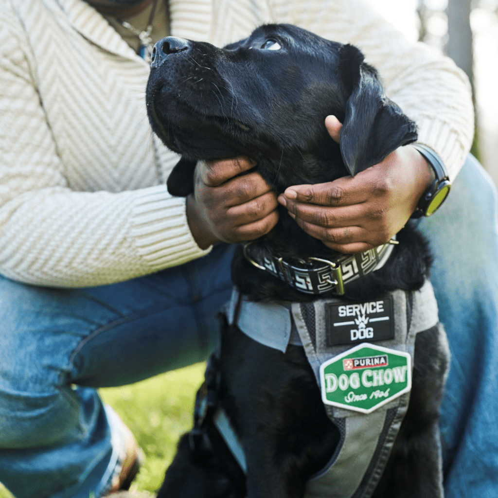 Purina Custom Patches for Service Dog Vests