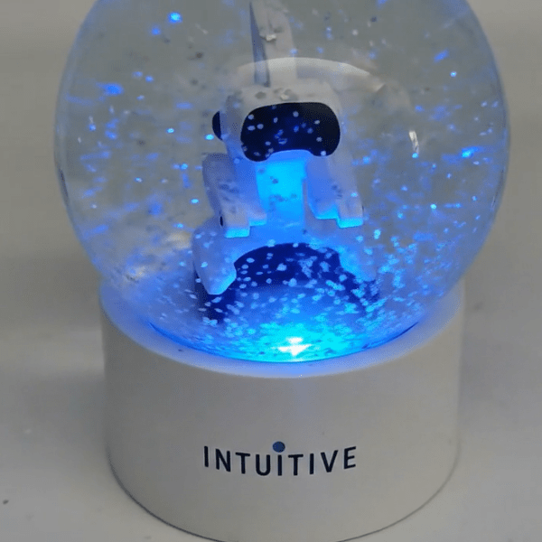 Intuitive Snowglobes Holiday Gift