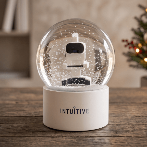 Intuitive 100% Custom Snowglobes