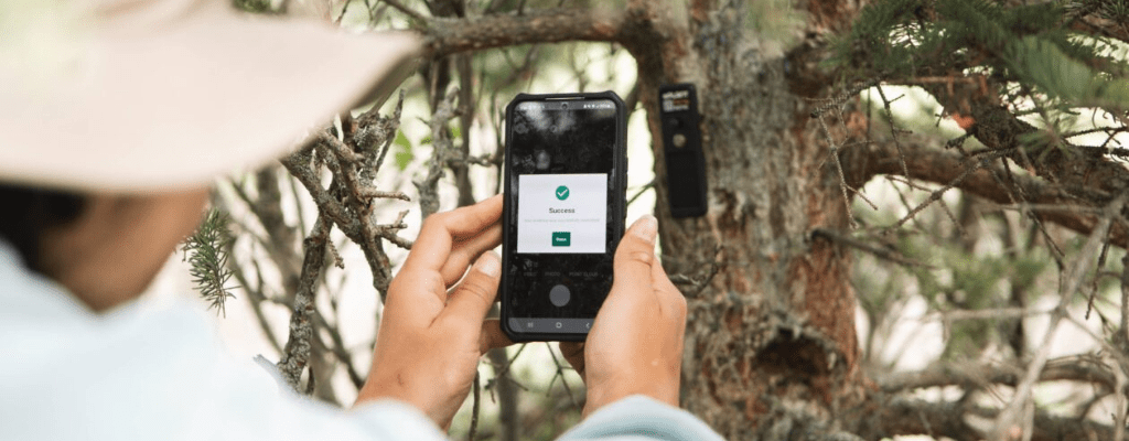 verified sustainable impact with BAMKO and veritree